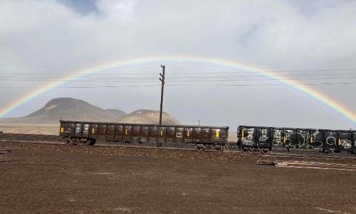 Hazen Rainbow (Rhonda Sattler)