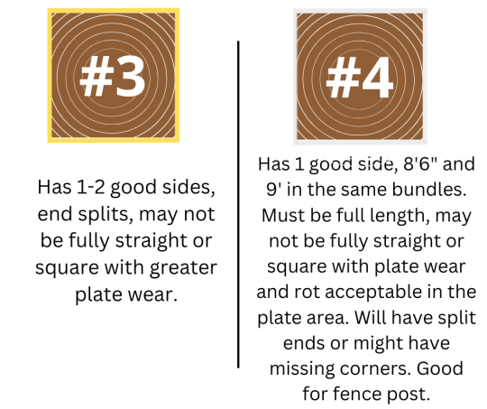 Standard Railroad Tie (10)
